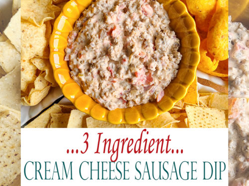 3-Ingredient Rotel Sausage Cream Cheese Dip – Unsophisticook