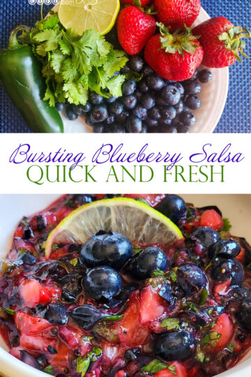 fresh blueberry salsa graphic with title